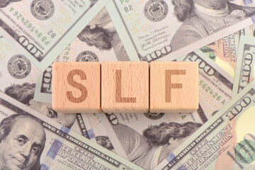 There are blocks with SLF letters printed on the US dollar props