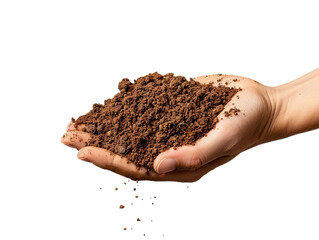 Obraz premium a handful of soil