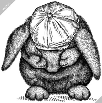 Vintage engraving isolated rabbit glasses dressed fashion set illustration hare ink sketch. Easter bunny background jackrabbit silhouette sunglasses hipster hat art. Hand draw vector image