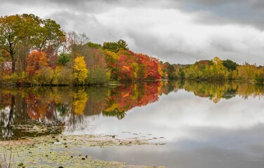 Aerial view of lake surrounded by autumn trees