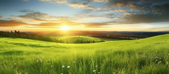Fototapeta na wymiar green highland mountain landscape of beutiful sunset or sunrise in greeen summer rural land with amazing hills and trees and nice sun glow