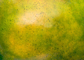 Mango fruit  skin surface texture background - 774074756