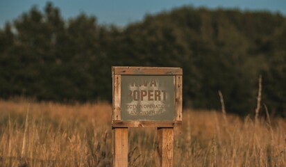 Old wooden sign in a field on a sunny day