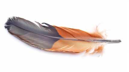 White feather on white background