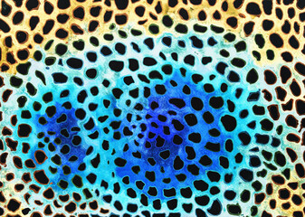 Leopard and tiger pattern colorful abstraction. The dabbing technique near the edges gives a soft focus effect due to the altered surface roughness of the paper. - 774078927