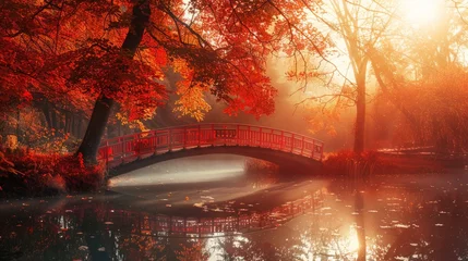 Outdoor kussens Autumn nature landscape. Lake bridge in fall forest. Path way in gold woods. Romantic view image scene. Magic misty sunset pond. Red color tree leaf park. Calm bright light, city sunrise, sunlight sun © Nijat