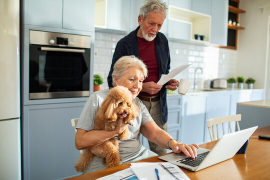 Senior couple with a dog managing finances on a laptop in the kitchen