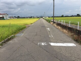 田んぼの真ん中の田舎道