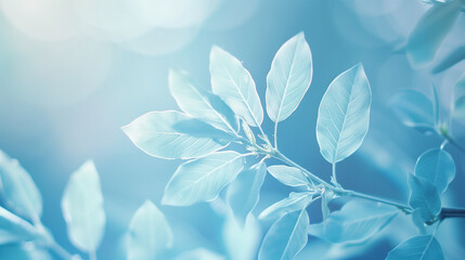 Graceful Baby Blue Leaves - obrazy, fototapety, plakaty