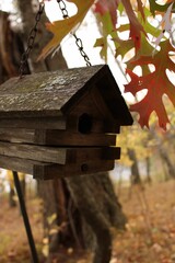 Vertical closeup of a wooden birdhouse hanging on a tree in a beautiful autumn forest