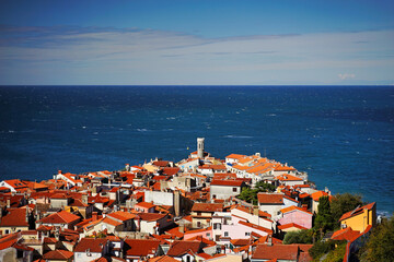 Fototapeta premium The Peaceful Village Landscape of the Mediterranean (Adriatic ocean)