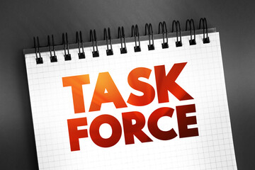 Task force - unit or formation established to work on a single defined task or activity, text...