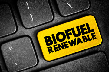 Biofuel renewable - derived entirely from plant-based organic materials, text concept button on keyboard