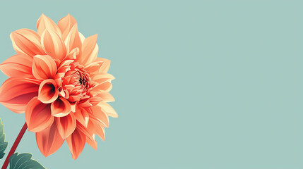 Vibrant Dahlia Flower on Teal Background - obrazy, fototapety, plakaty