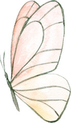 Watercolor Butterfly. Isolated element for design.
