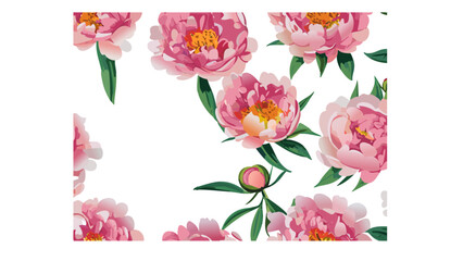 Seamless hand drawn peonies pattern vector illustration