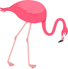 Cartoon flamingo, pink swan, tropical bird, summer animal, cute zoo character. Exotic fauna illustration