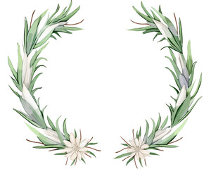 Yucca Geometric Frame , watercolor, Floral Frame, isolated white background - obrazy, fototapety, plakaty