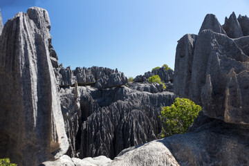 Madagascar Tsingy Bemarco on a sunny spring day