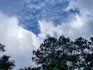 Obraz premium Landscape of Khaoyai national forest park in Nakorn ratchasima,Thailand