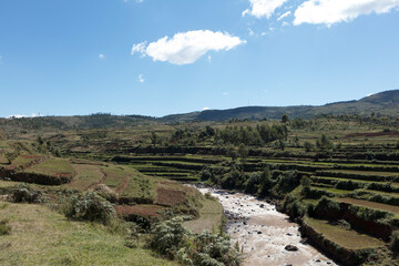 Fototapeta na wymiar Madagascar landscape on a sunny spring day