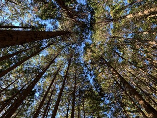 Japanese Travel Photo Dump