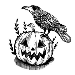 Naklejka premium Crow and pumpkin engraving PNG illustration