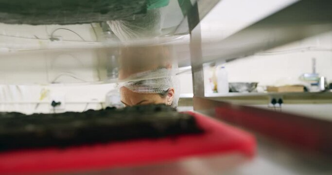 Bakery, woman and check shelf in kitchen and notes on product, dessert or cake in small business. Pastry, chef and girl with inspection of production, process and quality assurance checklist of food