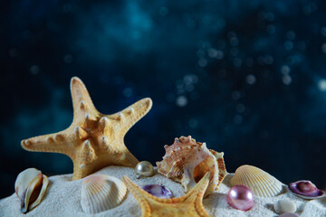 Seashells and starfish on the sand against the night sky.