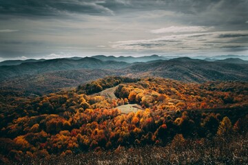 High angle shot of a colorful autumn forest under the gloomy sky