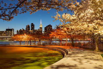 Evening spring in Long Island City Hunter's Point South Park. East River, cherry trees and Manhattan skyscrapers from Queens, New York City - obrazy, fototapety, plakaty