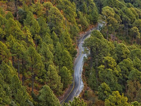Aerial view of a pathway in forests in Murree Expressway