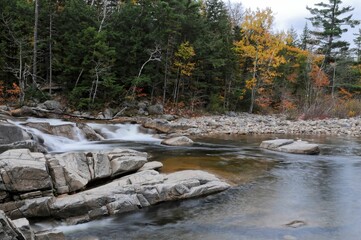 Rocky river in the forest