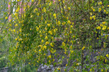 東京港区赤坂6丁目のオウバイソケイ