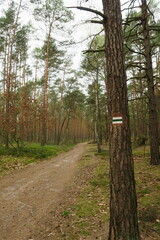 Kampinoski Park Narodowy, Mazovia, Poland