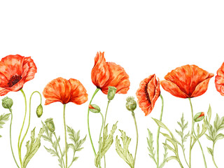 Obraz premium Poppy flowers seamless border illustration