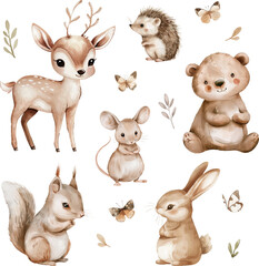 Set of forest animals: deer, hedgehog, bear, mouse, bunny, squirrel. Watercolor vector illustration - 774114115
