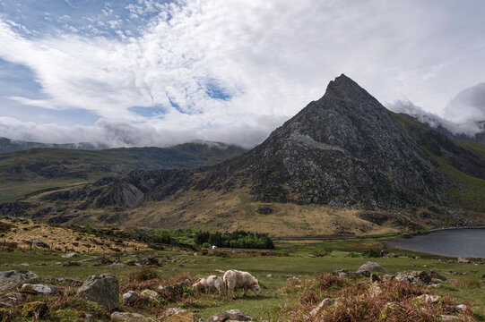 Llyn Ogwen and Tryfan Mountain, Ogwen Valley, Snodownia, north Wales, on a cloudy spring day.