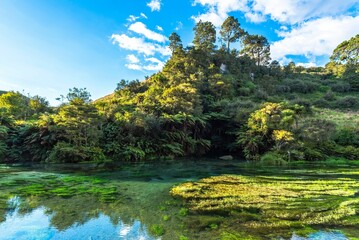 A beautiful landscape of the blue spring Putaruru, North Island, New Zealand