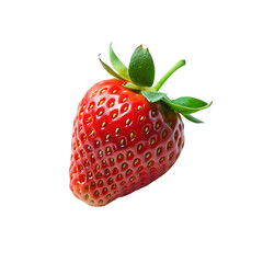 3d fly realistic isolated strawberry fruit