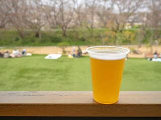 公園でクラフトビール