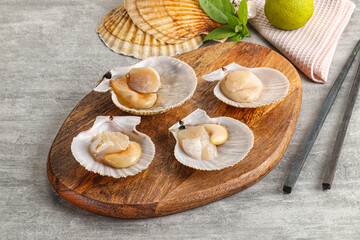 Raw natural scallop in its shell