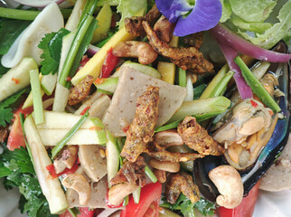 spicy salad ,thai cuisine  appetizer