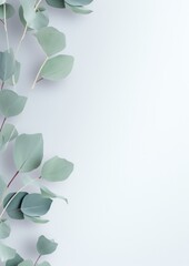 Eucalyptus branches on light  minimalistic background,  wallpaper. Generative Ai.