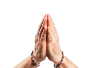 praying  hands