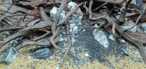 The dead branches of a tree are used to decorate the aquarium.