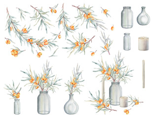 Set of watercolor illustration sea buckthorn branches with orange berries and green leaves isolated on white background. Elements clipart hand drawing natural plant and glass vase and jar, candle.