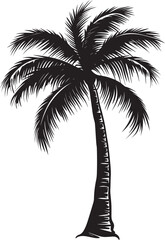 silhouettes of palm trees