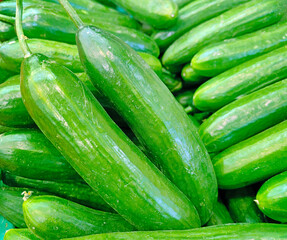 fresh cucumbers on the market