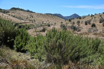 Beautiful scenery of Horton Plains National Park in Nuwara Eliya, Sri Lanka. Tourist rail to place on cliff named End of World.